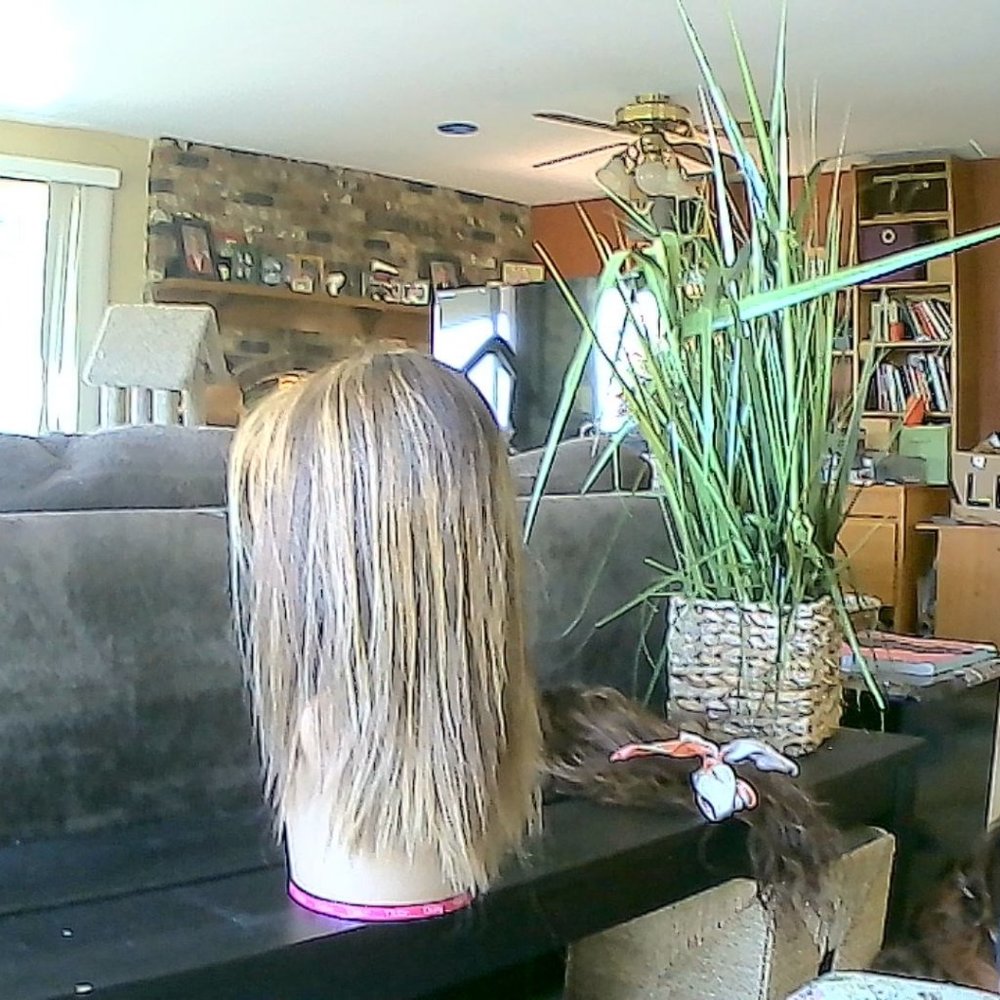 wig